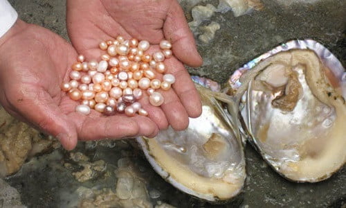 6 lý do để bạn nên yêu ngọc trai
